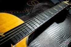 Martin GPCPA1 Plus / 2016_4