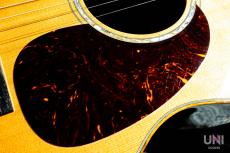 Martin GPCPA1 Plus / 2016_5