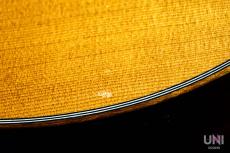 Martin GPCPA1 Plus / 2016_10