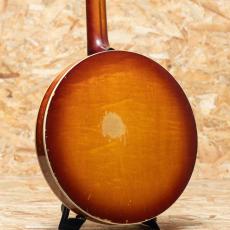 VEGA Earl Scruggs STII 1964-1970_2