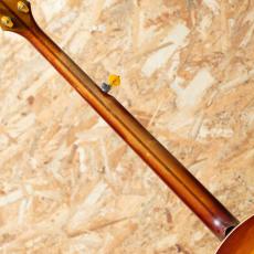 VEGA Earl Scruggs STII 1964-1970_7