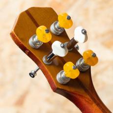 VEGA Earl Scruggs STII 1964-1970_9