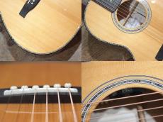 Paul Reed Smith [PRS] SE P50E_6