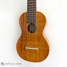 Famous FLS-2G_2