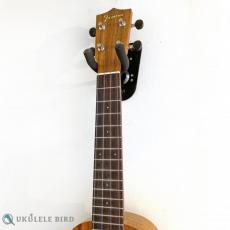 Famous FLS-2G_3