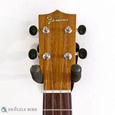 Famous FLS-2G_4