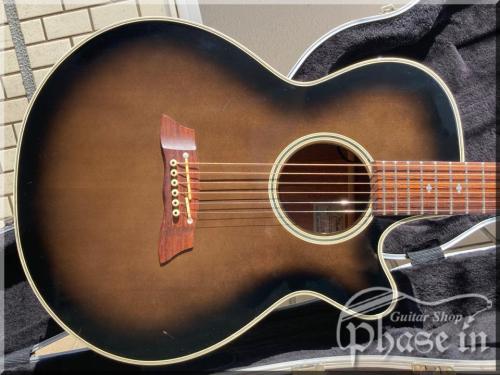 Takamine TRE107 / CT-4BII Pre amp