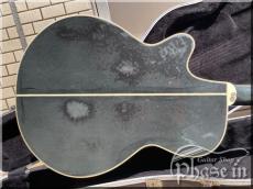 Takamine TRE107 / CT-4BII Pre amp_3