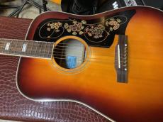 Epiphone Masterbilt Frontier FT-110 エピフォン　マスタービルト・シリーズ_2