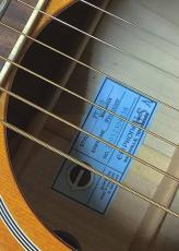 Epiphone Masterbilt Frontier FT-110 エピフォン　マスタービルト・シリーズ_9