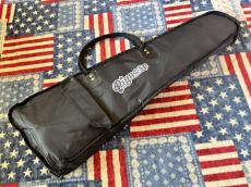 Pignose PGG-200  _10