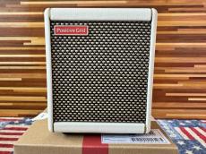 Positive Grid Spark MINI　PEARL_2