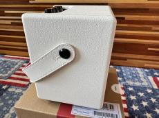 Positive Grid Spark MINI　PEARL_6