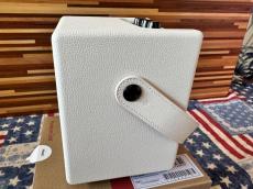 Positive Grid Spark MINI　PEARL_7