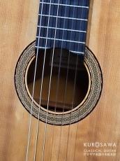 Hernandez y Aguado エルナンデス・イ・アグアド 1960年製 松・シープレス【日本総本店2F 在庫品】_2