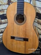 Hernandez y Aguado エルナンデス・イ・アグアド 1960年製 松・シープレス【日本総本店2F 在庫品】_3