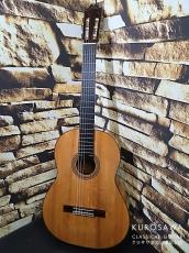 Hernandez y Aguado エルナンデス・イ・アグアド 1960年製 松・シープレス【日本総本店2F 在庫品】_4