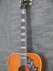Gibson Hummingbird Original HCS_9