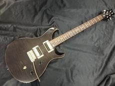 Paul Reed Smith [PRS] SE CUSTOM 24