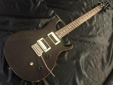 Paul Reed Smith [PRS] SE CUSTOM 24_2