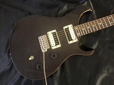 Paul Reed Smith [PRS] SE CUSTOM 24_3