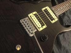 Paul Reed Smith [PRS] SE CUSTOM 24_4