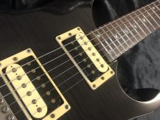 Paul Reed Smith [PRS] SE CUSTOM 24_5