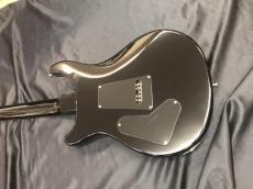 Paul Reed Smith [PRS] SE CUSTOM 24_8