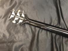 Paul Reed Smith [PRS] SE CUSTOM 24_9