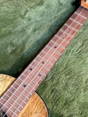 Martin TKE Uke #39625 【テナー/ハワイアンコア】【ピックアップ搭載】【24回金利0%対象】【送料込】_7