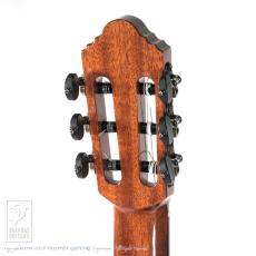 Fonzo Guitar EJ-13S_7