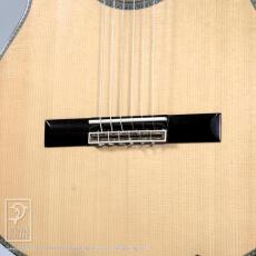 Fonzo Guitar EJ-13S_10