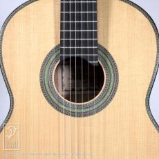 Fonzo Guitar EJ-13S_11