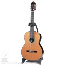 Fonzo Guitar EJ-13C_2