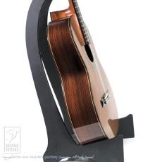 Fonzo Guitar EJ-13C_3