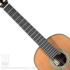 Fonzo Guitar EJ-13C_5