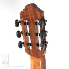 Fonzo Guitar EJ-13C_8