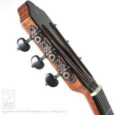 Fonzo Guitar EJ-13C_10