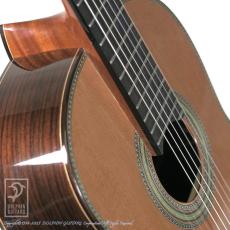 Fonzo Guitar EJ-13C_11