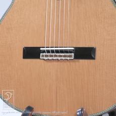 Fonzo Guitar EJ-13C_12