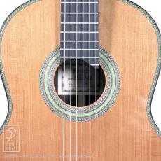 Fonzo Guitar EJ-13C_13