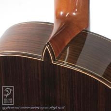 Fonzo Guitar EJ-13C_14