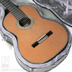 Fonzo Guitar EJ-13C_15