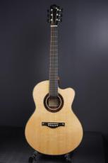 Peggy White PREMIER Cutaway