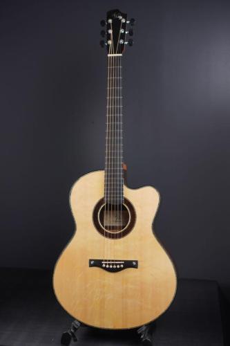 Peggy White PREMIER Cutaway