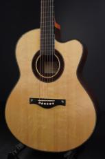 Peggy White PREMIER Cutaway_2