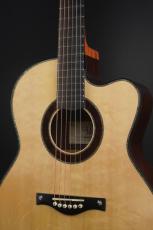 Peggy White PREMIER Cutaway_3