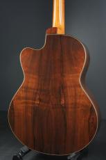 Peggy White PREMIER Cutaway_5