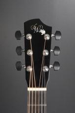 Peggy White PREMIER Cutaway_6