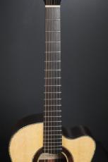 Peggy White PREMIER Cutaway_7